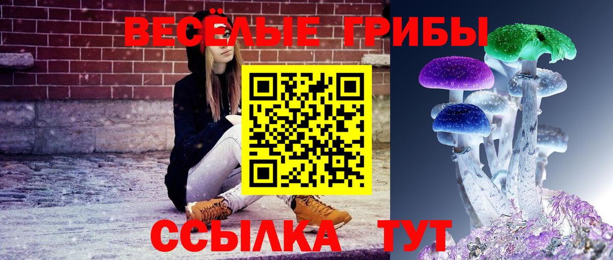 Янаул  где продают   Вход с VPN  Галлюциногенные грибы GOLDEN TEACHER 